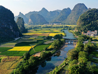 A photo taken in Guilin, China, on October 7, 2024, shows the colorful rice landscape in autumn in South China's Guangxi Zhuang Autonomous r...