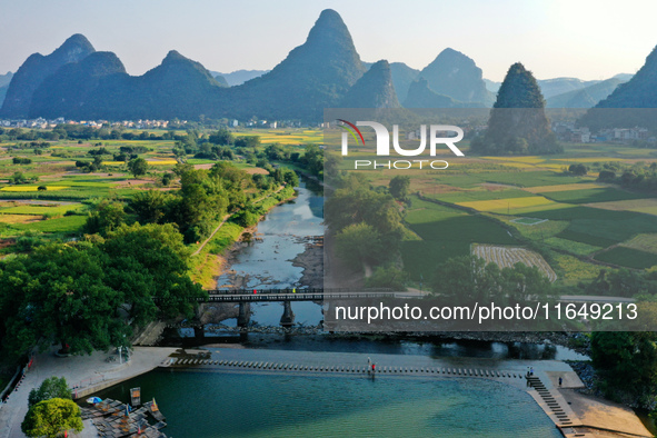 A photo taken in Guilin, China, on October 7, 2024, shows the colorful rice landscape in autumn in South China's Guangxi Zhuang Autonomous r...