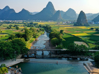 A photo taken in Guilin, China, on October 7, 2024, shows the colorful rice landscape in autumn in South China's Guangxi Zhuang Autonomous r...