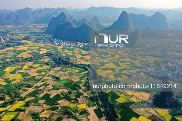 A photo taken in Guilin, China, on October 7, 2024, shows the colorful rice landscape in autumn in South China's Guangxi Zhuang Autonomous r...