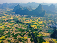 A photo taken in Guilin, China, on October 7, 2024, shows the colorful rice landscape in autumn in South China's Guangxi Zhuang Autonomous r...