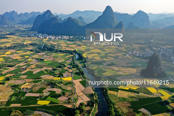 A photo taken in Guilin, China, on October 7, 2024, shows the colorful rice landscape in autumn in South China's Guangxi Zhuang Autonomous r...