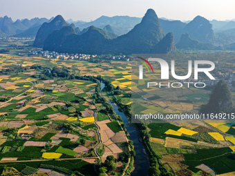 A photo taken in Guilin, China, on October 7, 2024, shows the colorful rice landscape in autumn in South China's Guangxi Zhuang Autonomous r...