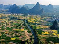 A photo taken in Guilin, China, on October 7, 2024, shows the colorful rice landscape in autumn in South China's Guangxi Zhuang Autonomous r...