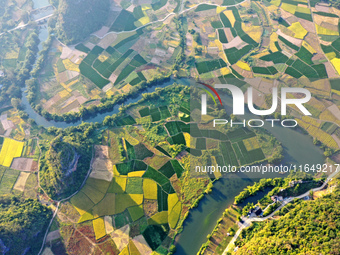 A photo taken in Guilin, China, on October 7, 2024, shows the colorful rice landscape in autumn in South China's Guangxi Zhuang Autonomous r...