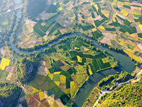 A photo taken in Guilin, China, on October 7, 2024, shows the colorful rice landscape in autumn in South China's Guangxi Zhuang Autonomous r...