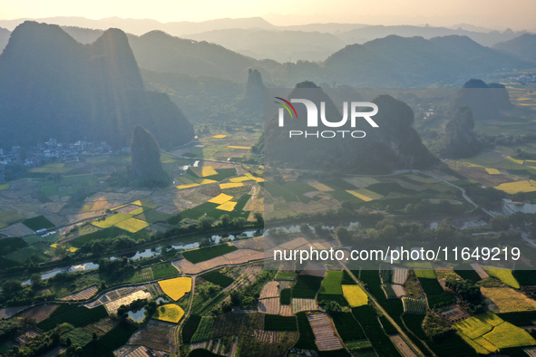 A photo taken in Guilin, China, on October 7, 2024, shows the colorful rice landscape in autumn in South China's Guangxi Zhuang Autonomous r...