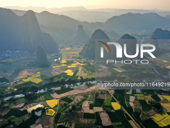 A photo taken in Guilin, China, on October 7, 2024, shows the colorful rice landscape in autumn in South China's Guangxi Zhuang Autonomous r...