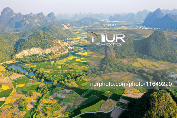 A photo taken in Guilin, China, on October 7, 2024, shows the colorful rice landscape in autumn in South China's Guangxi Zhuang Autonomous r...