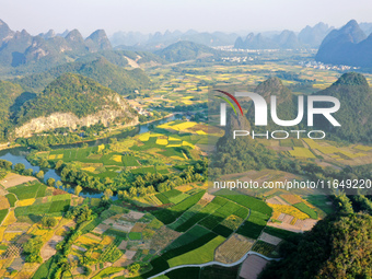 A photo taken in Guilin, China, on October 7, 2024, shows the colorful rice landscape in autumn in South China's Guangxi Zhuang Autonomous r...