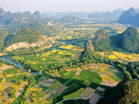 A photo taken in Guilin, China, on October 7, 2024, shows the colorful rice landscape in autumn in South China's Guangxi Zhuang Autonomous r...