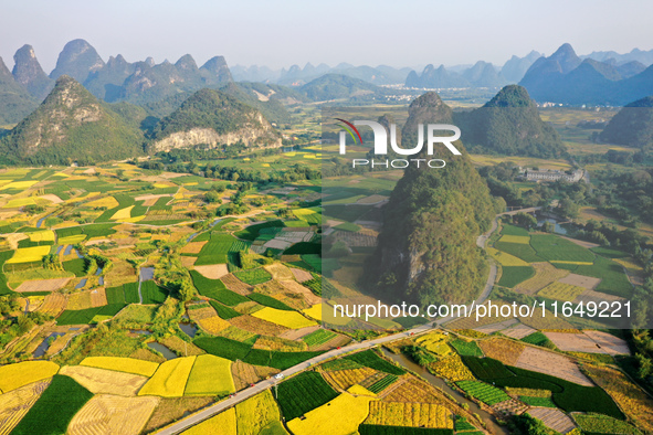 A photo taken in Guilin, China, on October 7, 2024, shows the colorful rice landscape in autumn in South China's Guangxi Zhuang Autonomous r...