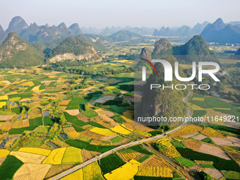 A photo taken in Guilin, China, on October 7, 2024, shows the colorful rice landscape in autumn in South China's Guangxi Zhuang Autonomous r...