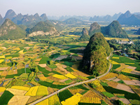 A photo taken in Guilin, China, on October 7, 2024, shows the colorful rice landscape in autumn in South China's Guangxi Zhuang Autonomous r...