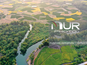 A photo taken in Guilin, China, on October 7, 2024, shows the colorful rice landscape in autumn in South China's Guangxi Zhuang Autonomous r...