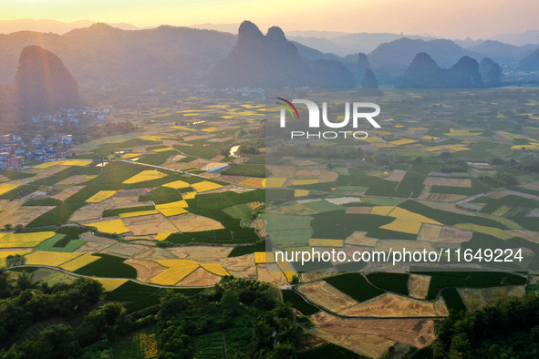 A photo taken in Guilin, China, on October 7, 2024, shows the colorful rice landscape in autumn in South China's Guangxi Zhuang Autonomous r...