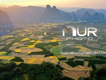 A photo taken in Guilin, China, on October 7, 2024, shows the colorful rice landscape in autumn in South China's Guangxi Zhuang Autonomous r...