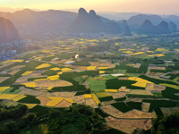 A photo taken in Guilin, China, on October 7, 2024, shows the colorful rice landscape in autumn in South China's Guangxi Zhuang Autonomous r...