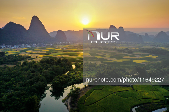 A photo taken in Guilin, China, on October 7, 2024, shows the colorful rice landscape in autumn in South China's Guangxi Zhuang Autonomous r...