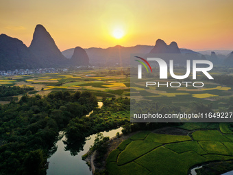 A photo taken in Guilin, China, on October 7, 2024, shows the colorful rice landscape in autumn in South China's Guangxi Zhuang Autonomous r...