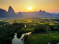 A photo taken in Guilin, China, on October 7, 2024, shows the colorful rice landscape in autumn in South China's Guangxi Zhuang Autonomous r...