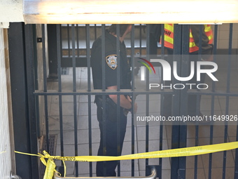 A subway conductor is stabbed several times at Utica Avenue subway station in the Crown Heights section of Brooklyn, New York, United States...