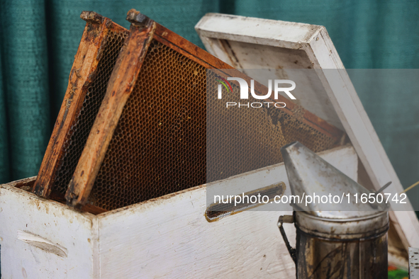 Honeycombs and a honeybee smoker are at a honey farm in Markham, Ontario, Canada, on October 5, 2024. 