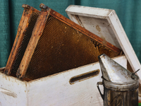 Honeycombs and a honeybee smoker are at a honey farm in Markham, Ontario, Canada, on October 5, 2024. (