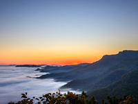 Maple leaves are in full bloom in the sea of clouds in Dandong, Liaoning province, China, on October 3, 2024. (