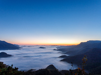 Maple leaves are in full bloom in the sea of clouds in Dandong, Liaoning province, China, on October 3, 2024. (