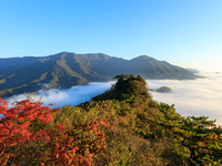 Maple leaves are in full bloom in the sea of clouds in Dandong, Liaoning province, China, on October 3, 2024. (