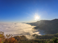 Maple leaves are in full bloom in the sea of clouds in Dandong, Liaoning province, China, on October 3, 2024. (