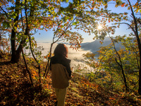 Maple leaves are in full bloom in the sea of clouds in Dandong, Liaoning province, China, on October 3, 2024. (