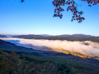 Maple leaves are in full bloom in the sea of clouds in Dandong, Liaoning province, China, on October 3, 2024. (