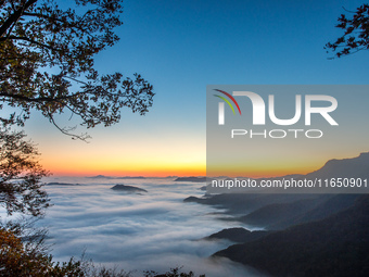 Maple leaves are in full bloom in the sea of clouds in Dandong, Liaoning province, China, on October 3, 2024. (