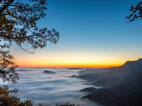 Maple leaves are in full bloom in the sea of clouds in Dandong, Liaoning province, China, on October 3, 2024. (