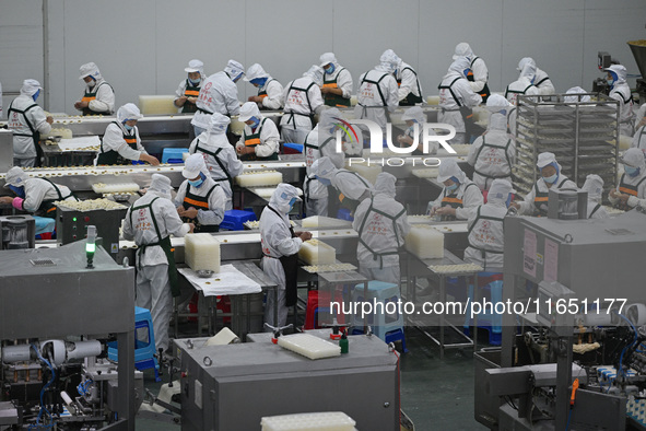 Workers make handmade dumplings in a workshop at a food factory in Suqian, China, on October 9, 2024. 