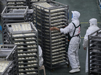 Workers make handmade dumplings in a workshop at a food factory in Suqian, China, on October 9, 2024. (