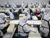 Workers make handmade dumplings in a workshop at a food factory in Suqian, China, on October 9, 2024. (