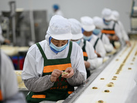 Workers make handmade dumplings in a workshop at a food factory in Suqian, China, on October 9, 2024. (