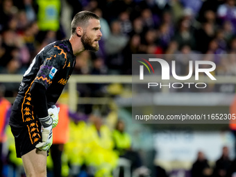 David De Gea of ACF Fiorentina looks on during the Serie A Enilive match between ACF Fiorentina and AC Milan at Stadio Artemio Franchi on Oc...