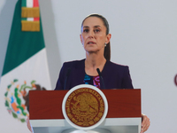 Claudia Sheinbaum Pardo, President of Mexico, speaks during a briefing conference about the energy reforms at the National Palace in Mexico...