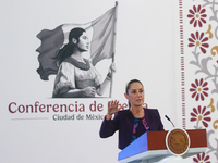 Claudia Sheinbaum Pardo, President of Mexico, speaks during a briefing conference about the energy reforms at the National Palace in Mexico...