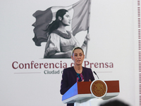 Claudia Sheinbaum Pardo, President of Mexico, speaks during a briefing conference about the energy reforms at the National Palace in Mexico...