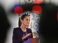 Claudia Sheinbaum Pardo, President of Mexico, speaks during a briefing conference about the energy reforms at the National Palace in Mexico...