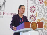 Claudia Sheinbaum Pardo, President of Mexico, speaks during a briefing conference about the energy reforms at the National Palace in Mexico...