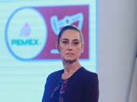 Claudia Sheinbaum Pardo, President of Mexico, speaks during a briefing conference about the energy reforms at the National Palace in Mexico...