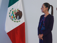 Claudia Sheinbaum Pardo, President of Mexico, speaks during a briefing conference about the energy reforms at the National Palace in Mexico...