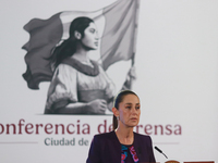 Claudia Sheinbaum Pardo, President of Mexico, speaks during a briefing conference about the energy reforms at the National Palace in Mexico...