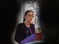 Claudia Sheinbaum Pardo, President of Mexico, speaks during a briefing conference about the energy reforms at the National Palace in Mexico...